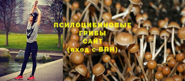 дживик Балахна
