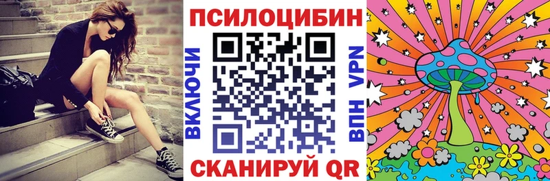 Псилоцибиновые грибы Psilocybine cubensis  Купить где  Трубчевск 